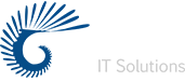 spartan IT