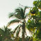 fliker photo